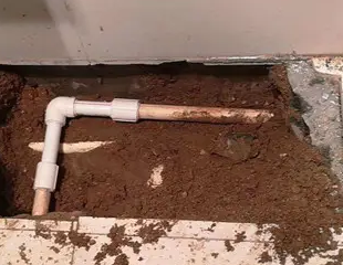 仁怀测漏水哪家好